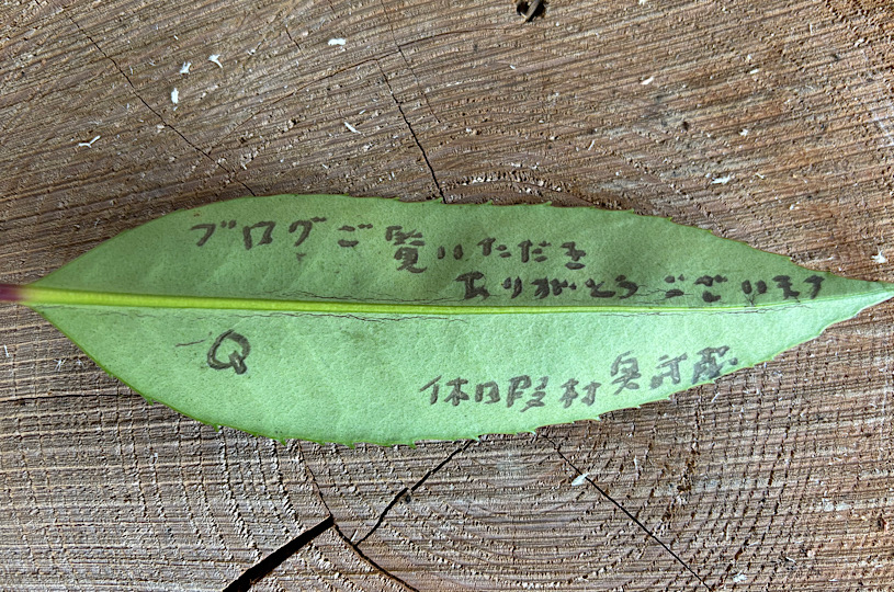 画像5
