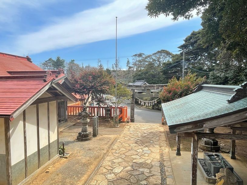 画像4