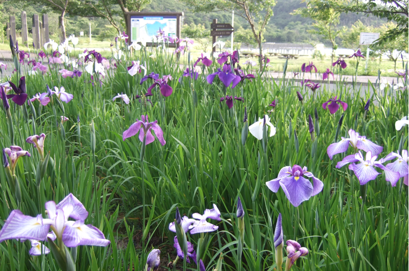 画像3