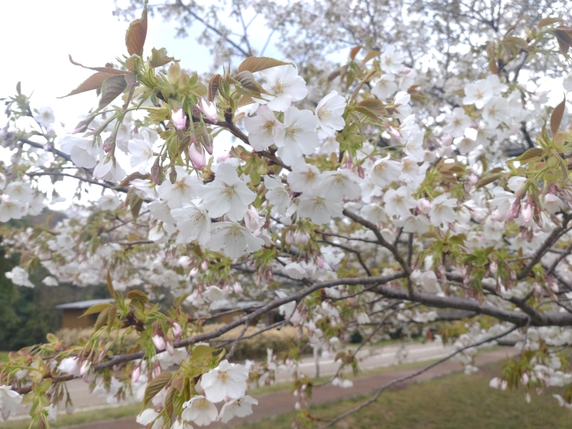 画像2