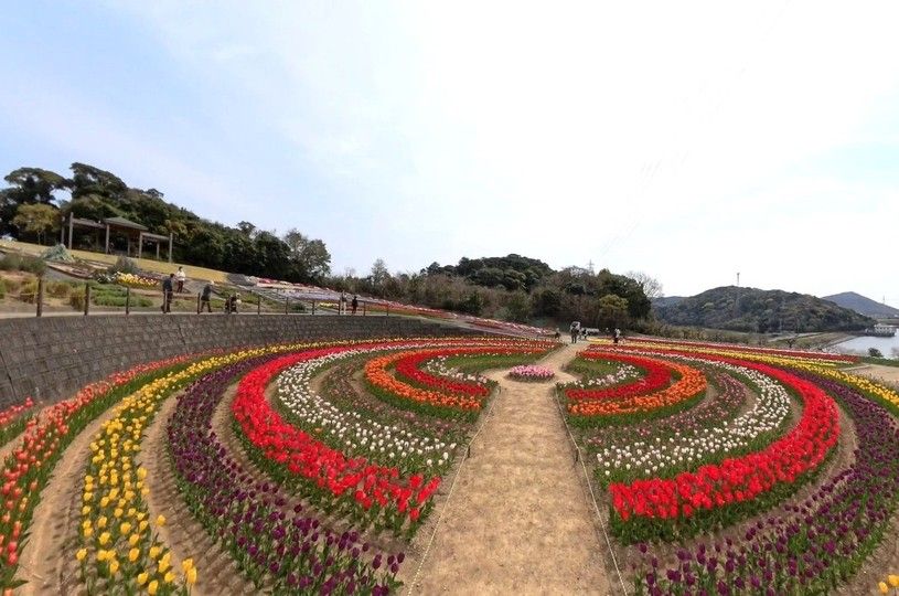 画像2