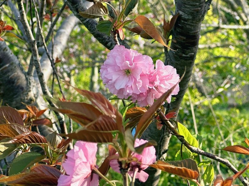画像3