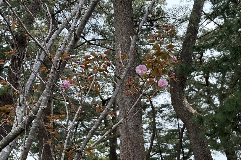 画像3