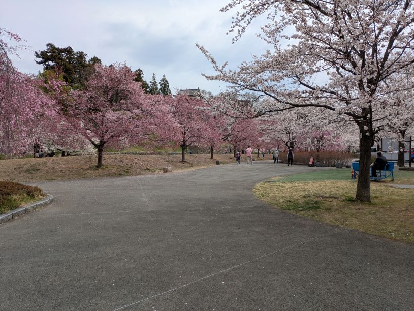 画像2