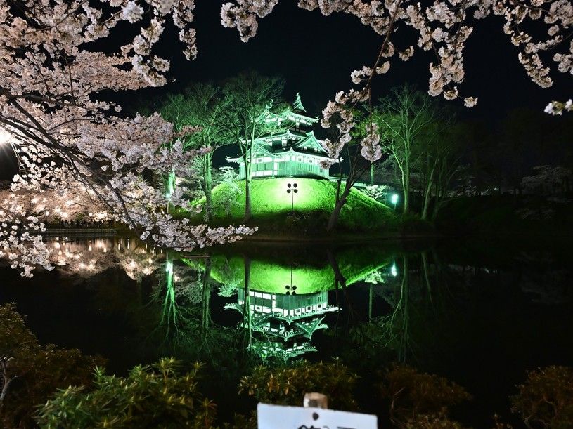 画像4
