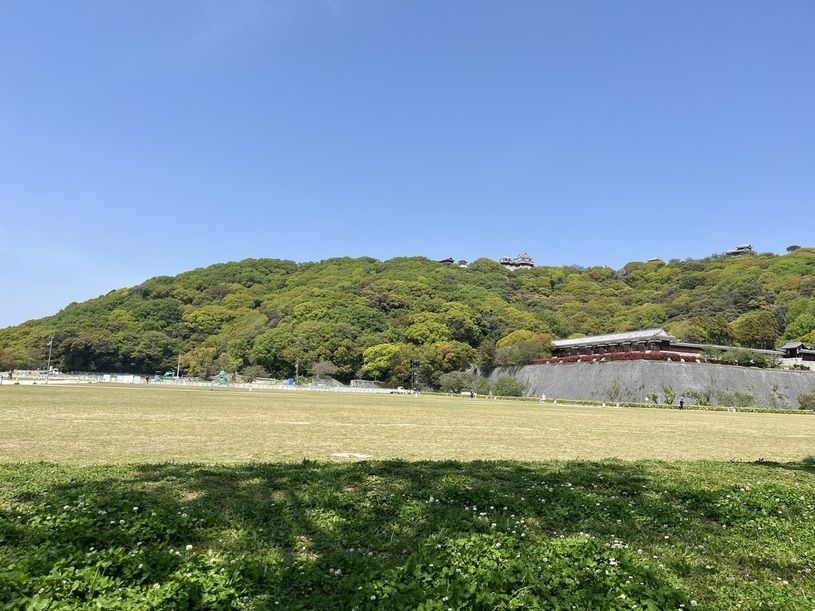画像4