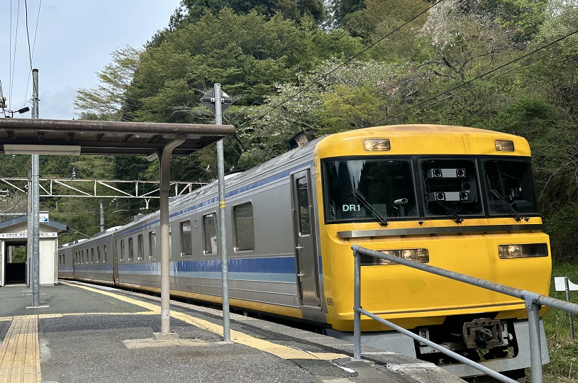 画像1