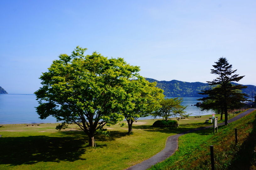 画像1