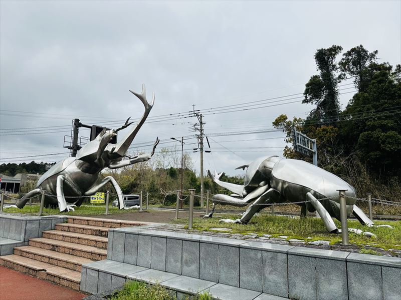 画像2