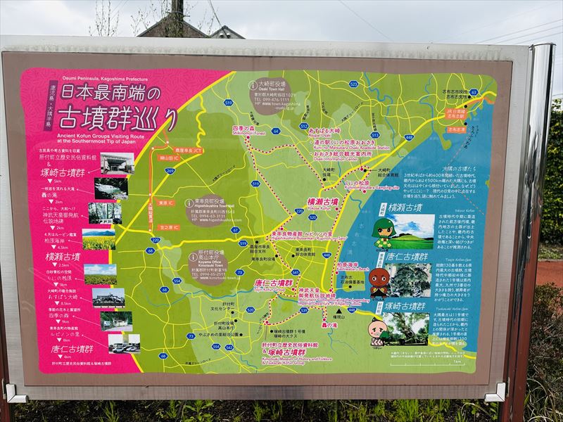 画像5