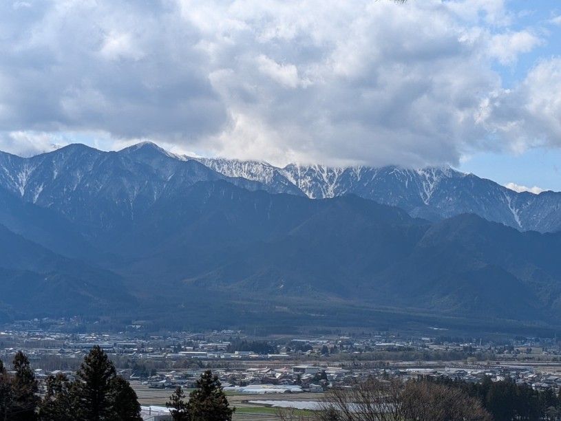 画像4