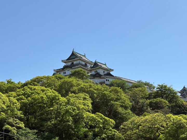 画像1