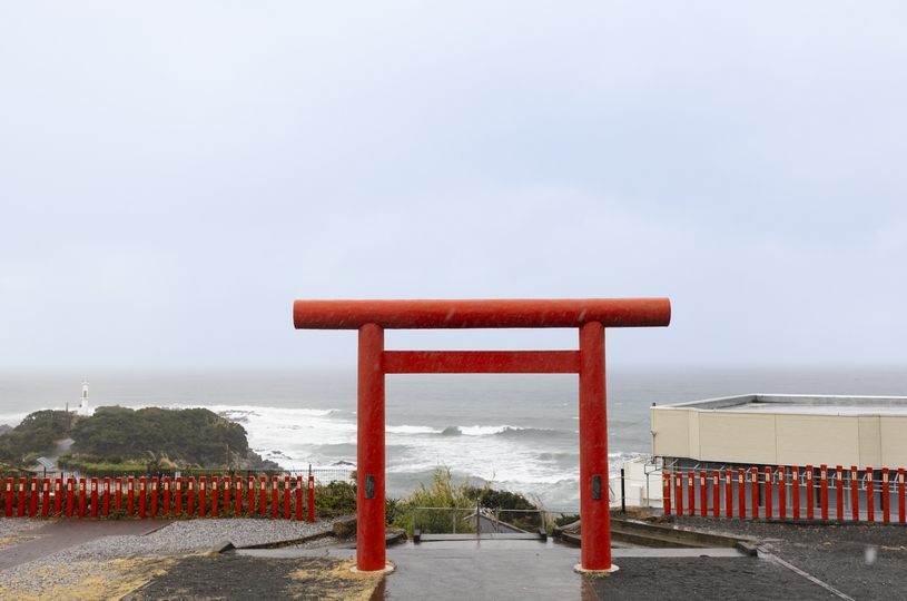 画像5