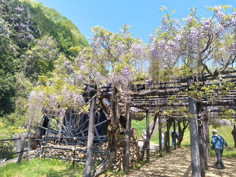 画像5