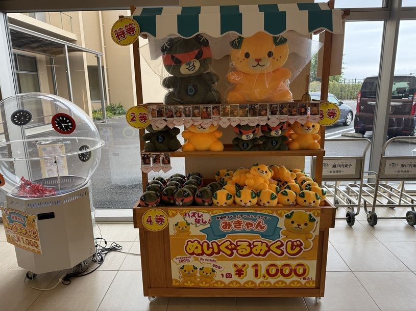 画像5