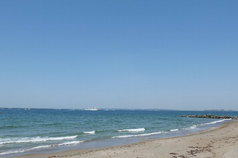 画像1