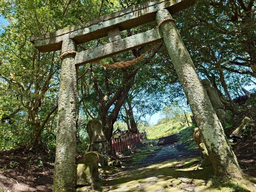 画像4