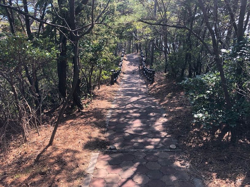 画像2