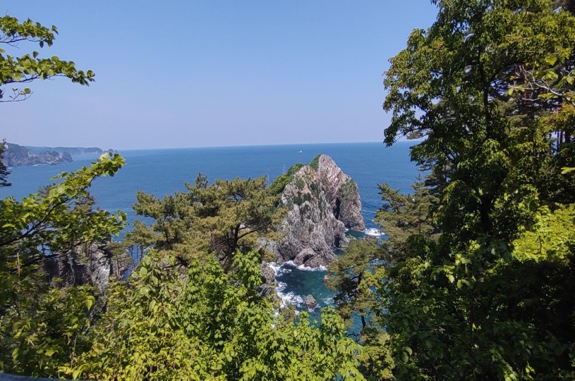 画像5