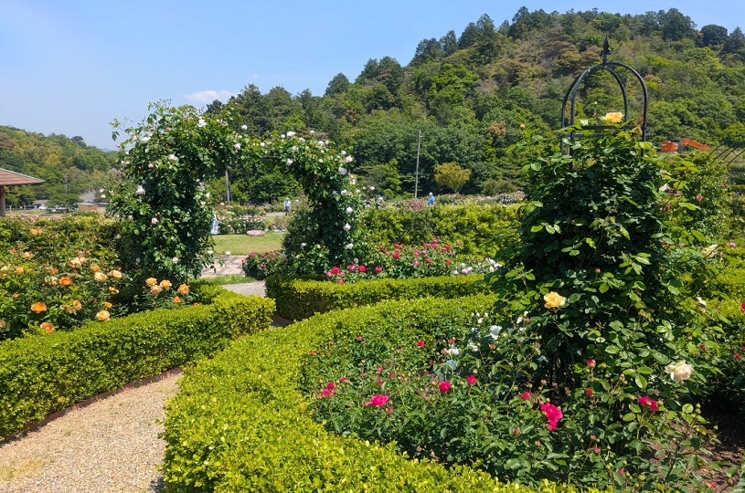 画像5