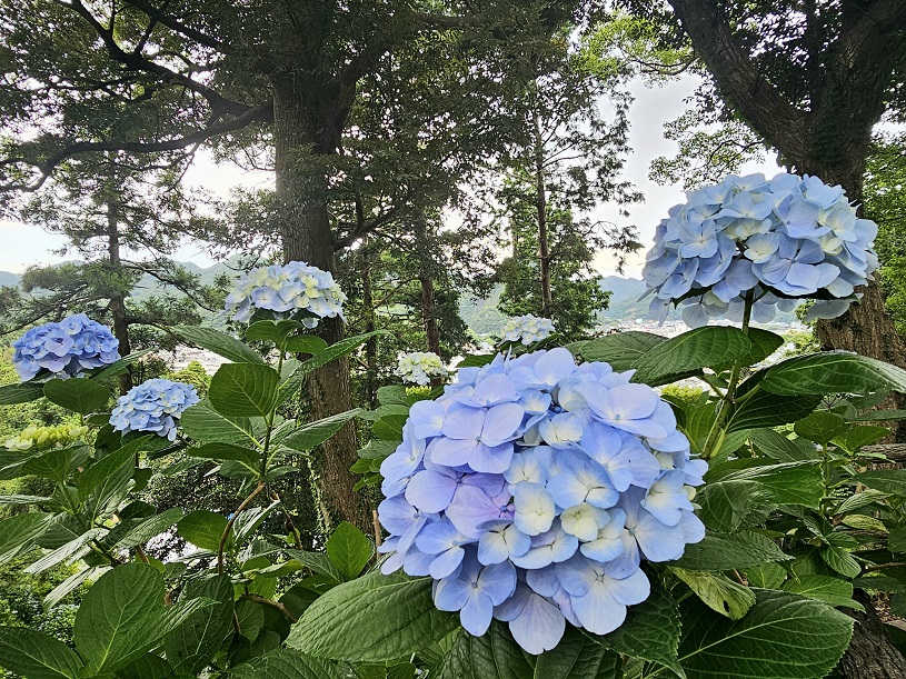 画像2