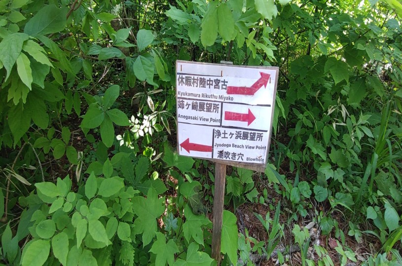 画像2