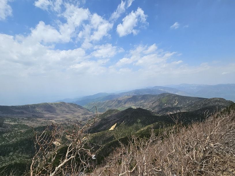画像4