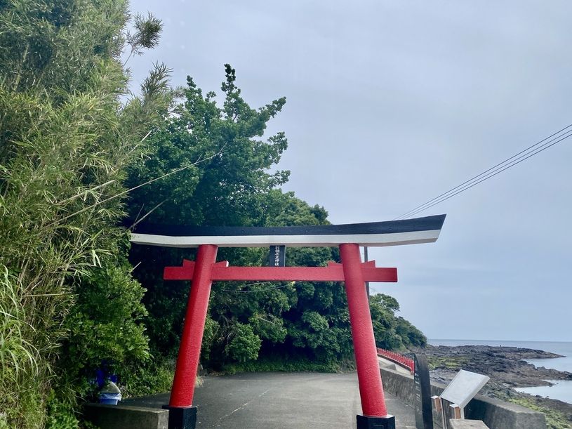 画像1