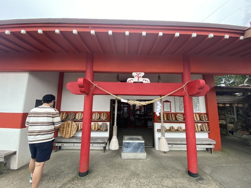 画像4