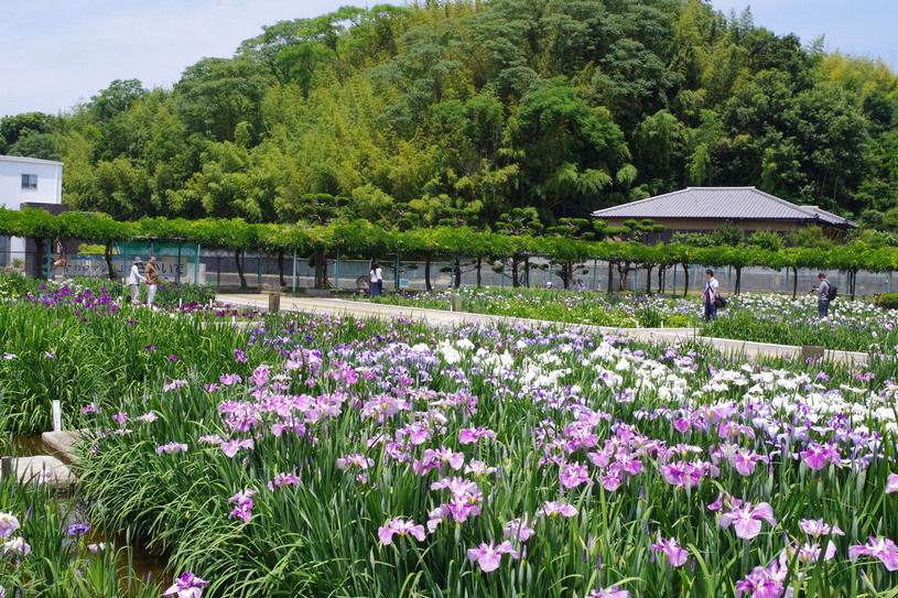 画像4