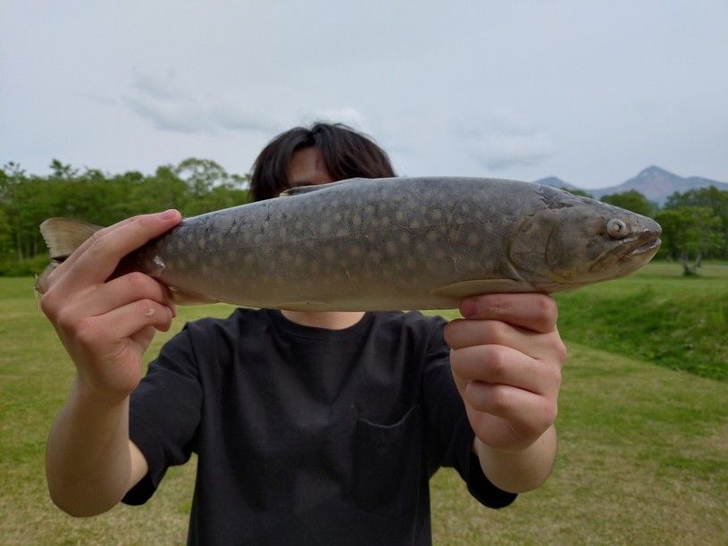 画像1