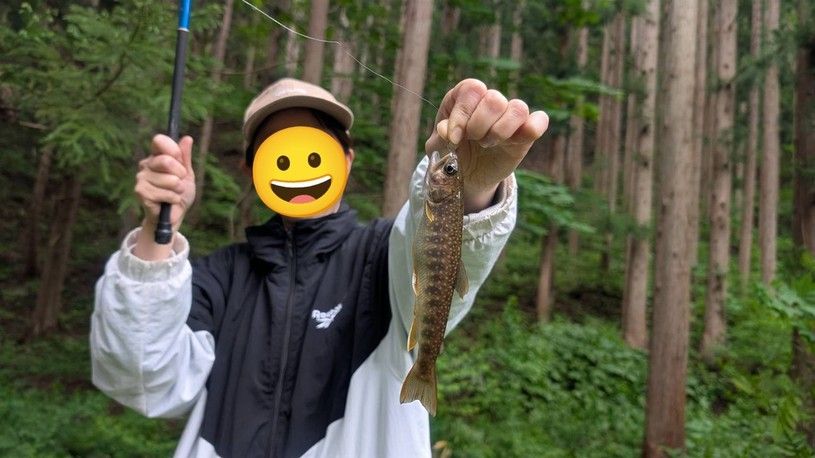 画像1