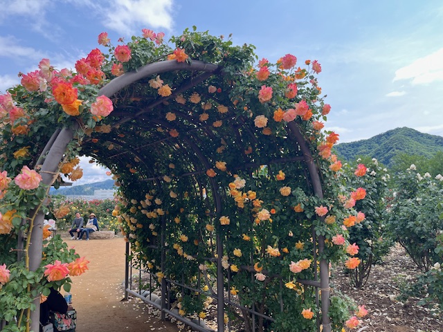 画像5