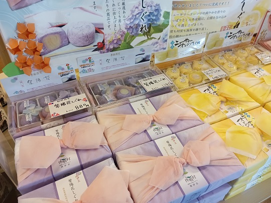 画像1