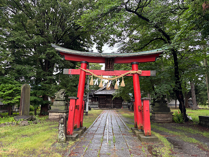 画像1