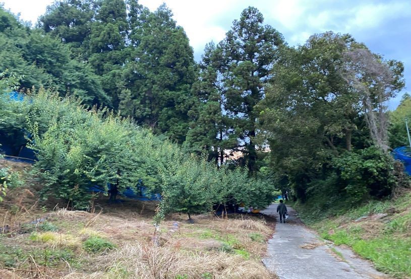 画像4