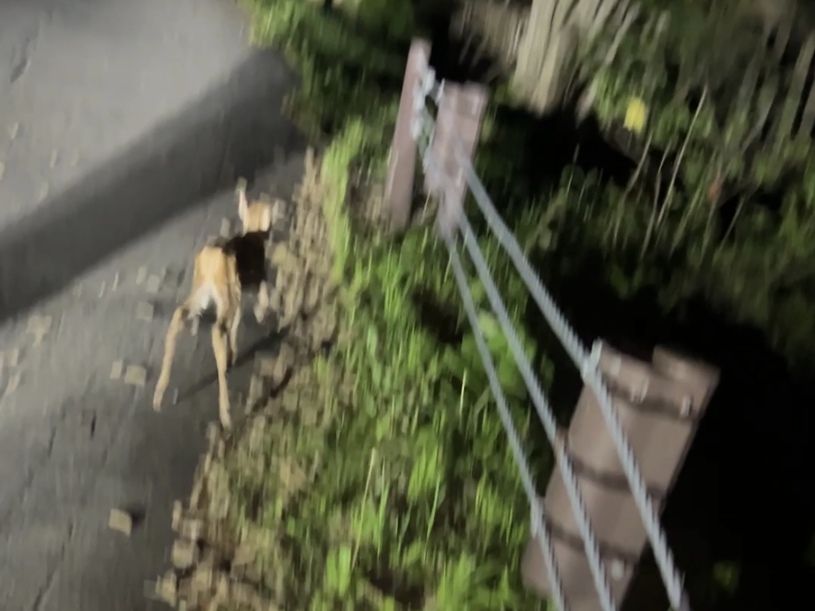画像2