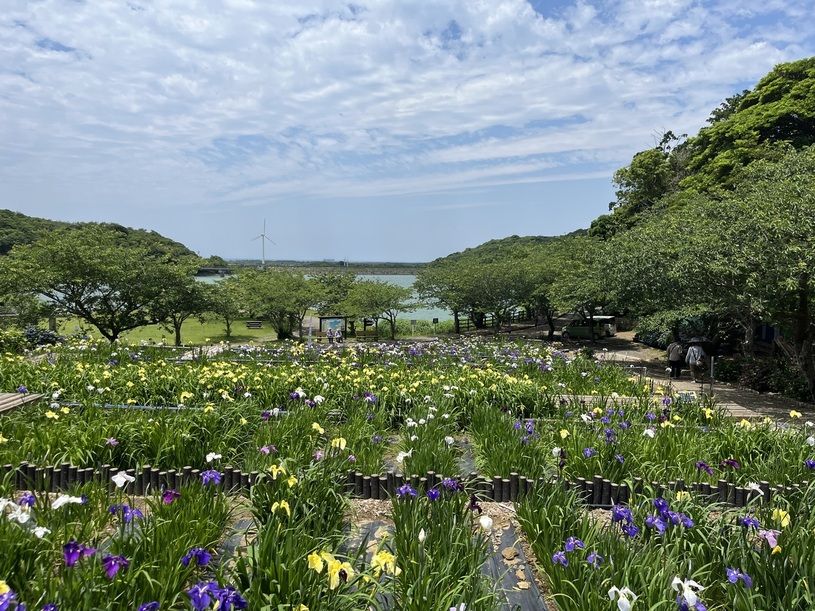 画像3