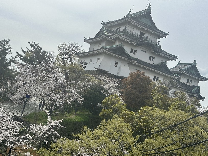 画像1