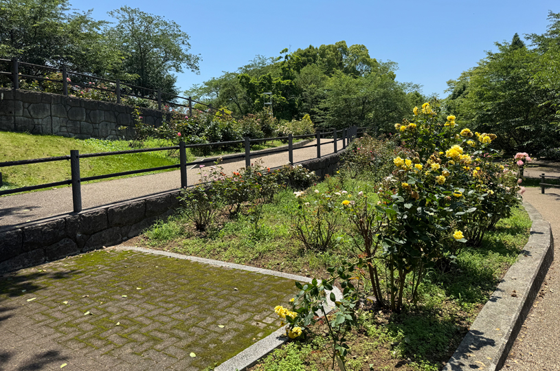 画像5