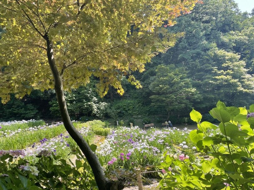 画像3
