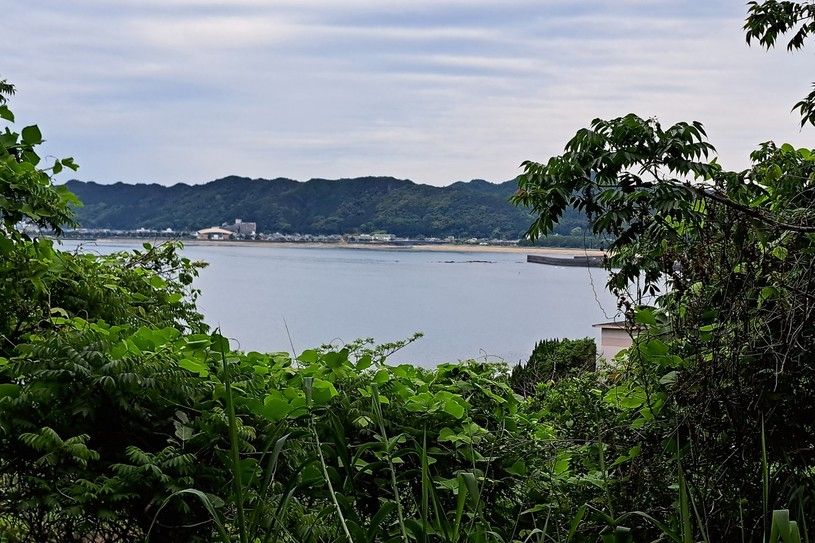 画像2