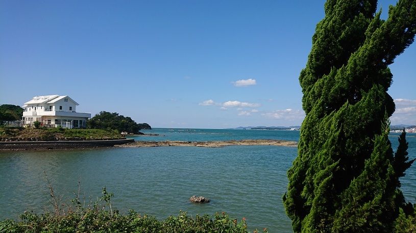 画像1
