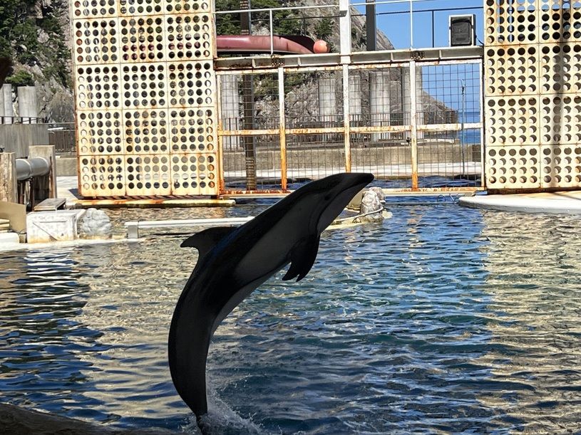 画像5
