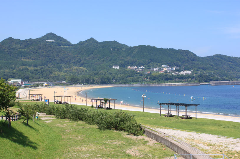 画像4