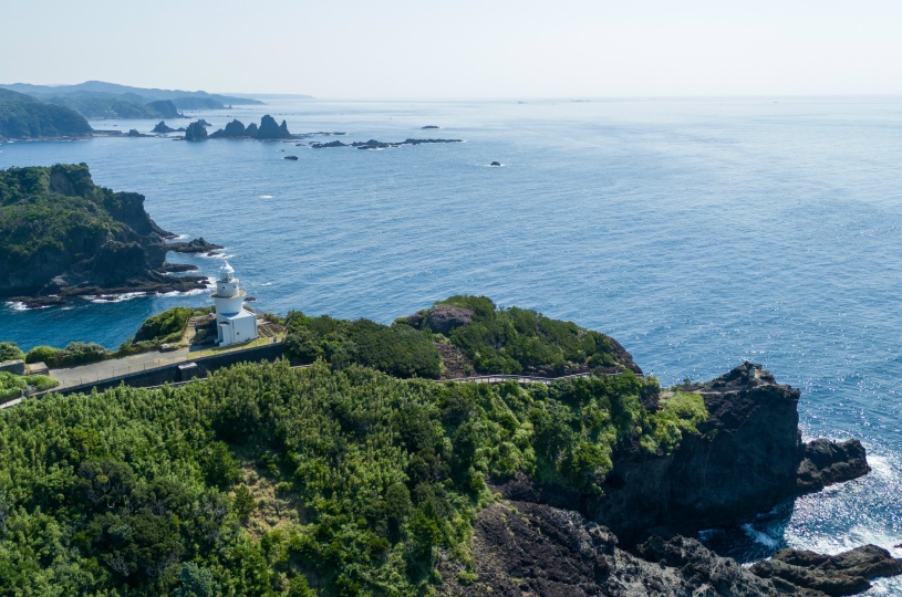 画像5