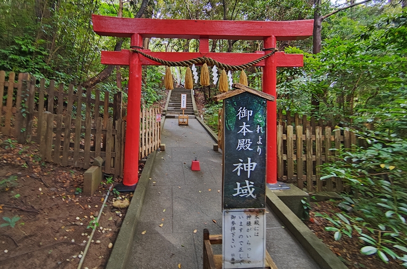 画像4