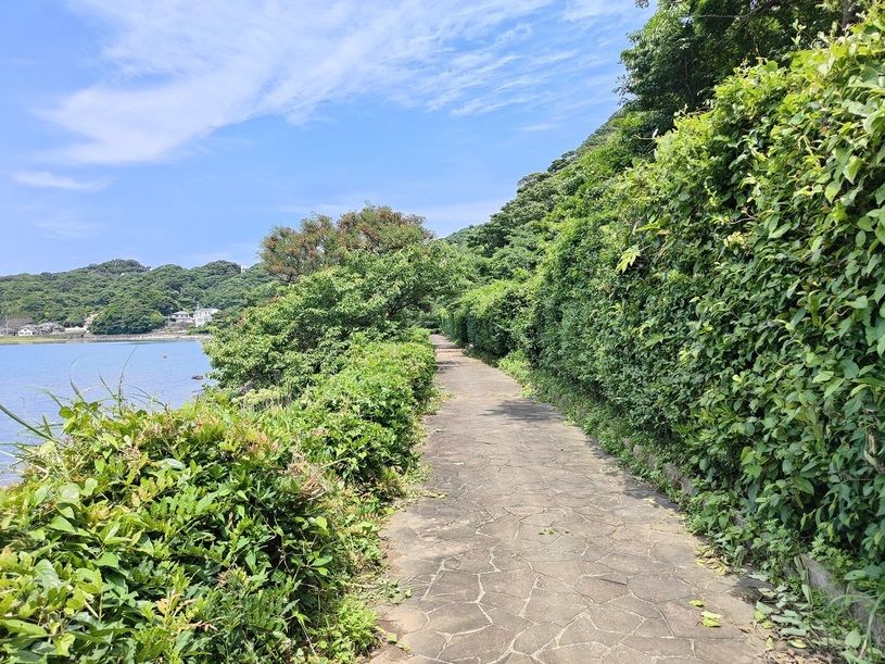 画像2