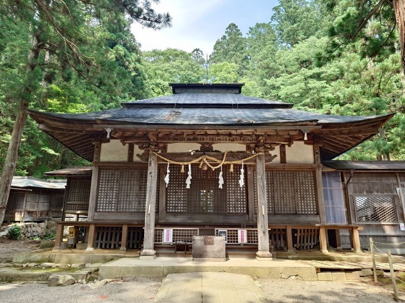 画像4