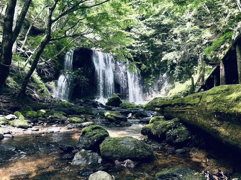 画像1